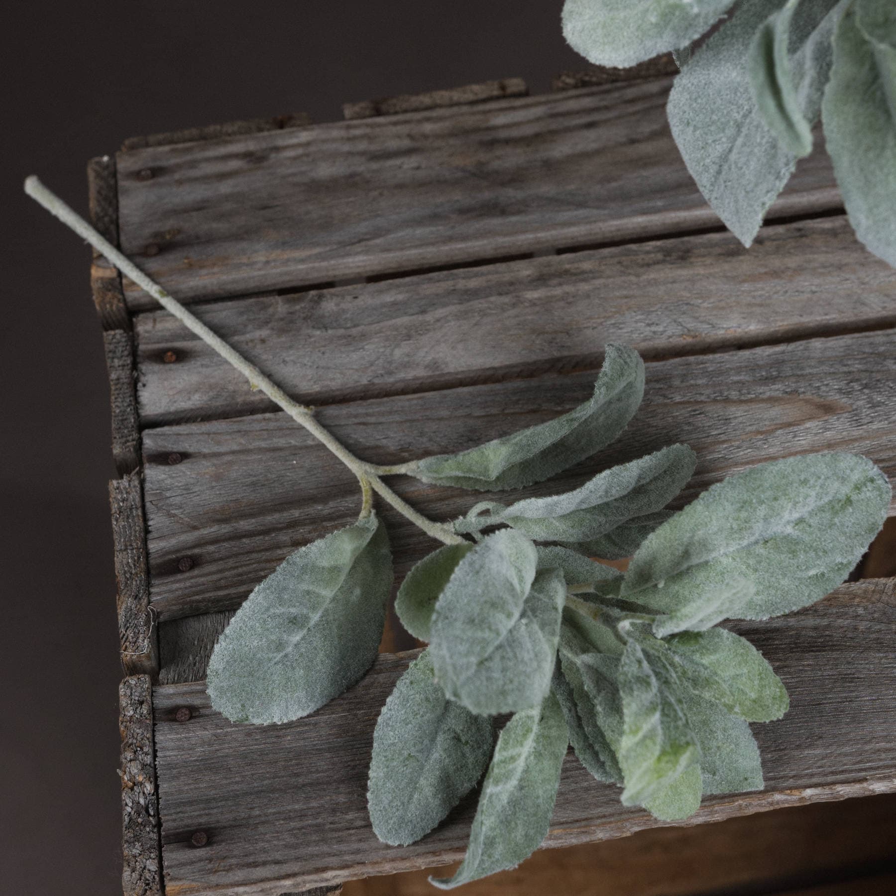 Lambs Ear Artificial Spray - Image 2