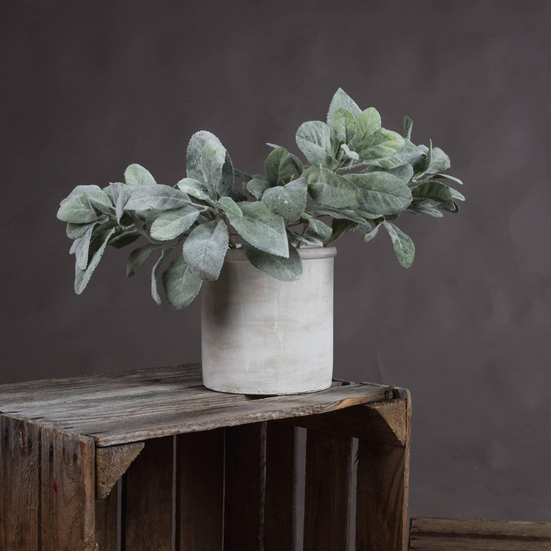Lambs Ear Artificial Spray - Image 6