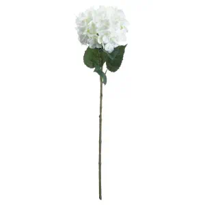 Single White Hydrangea Stem