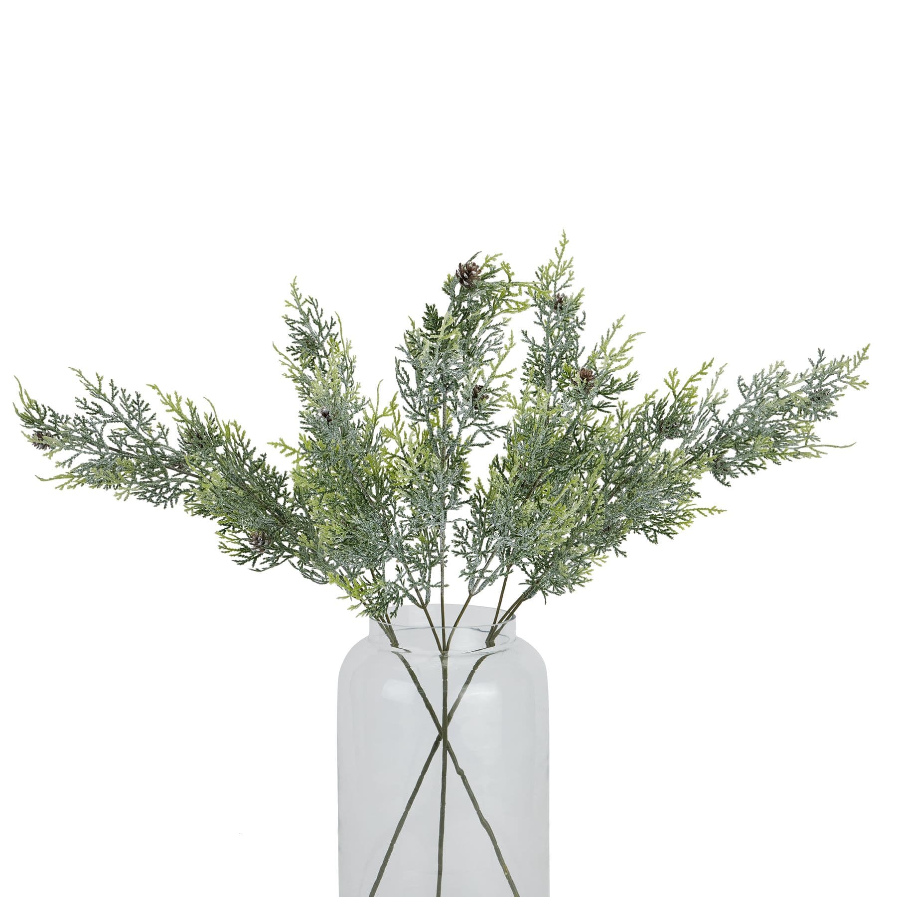 Frosted Pine Tall Stem With Pinecones - Image 4