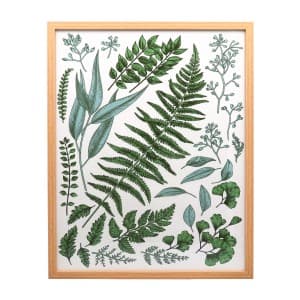 Gisela Graham Leaf Study Framed Print