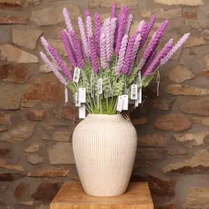 Zelly Crochet Lilac Lavender Stem