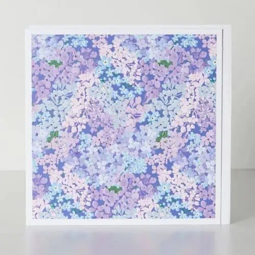Belly Button Designs Blossom Greeting Card