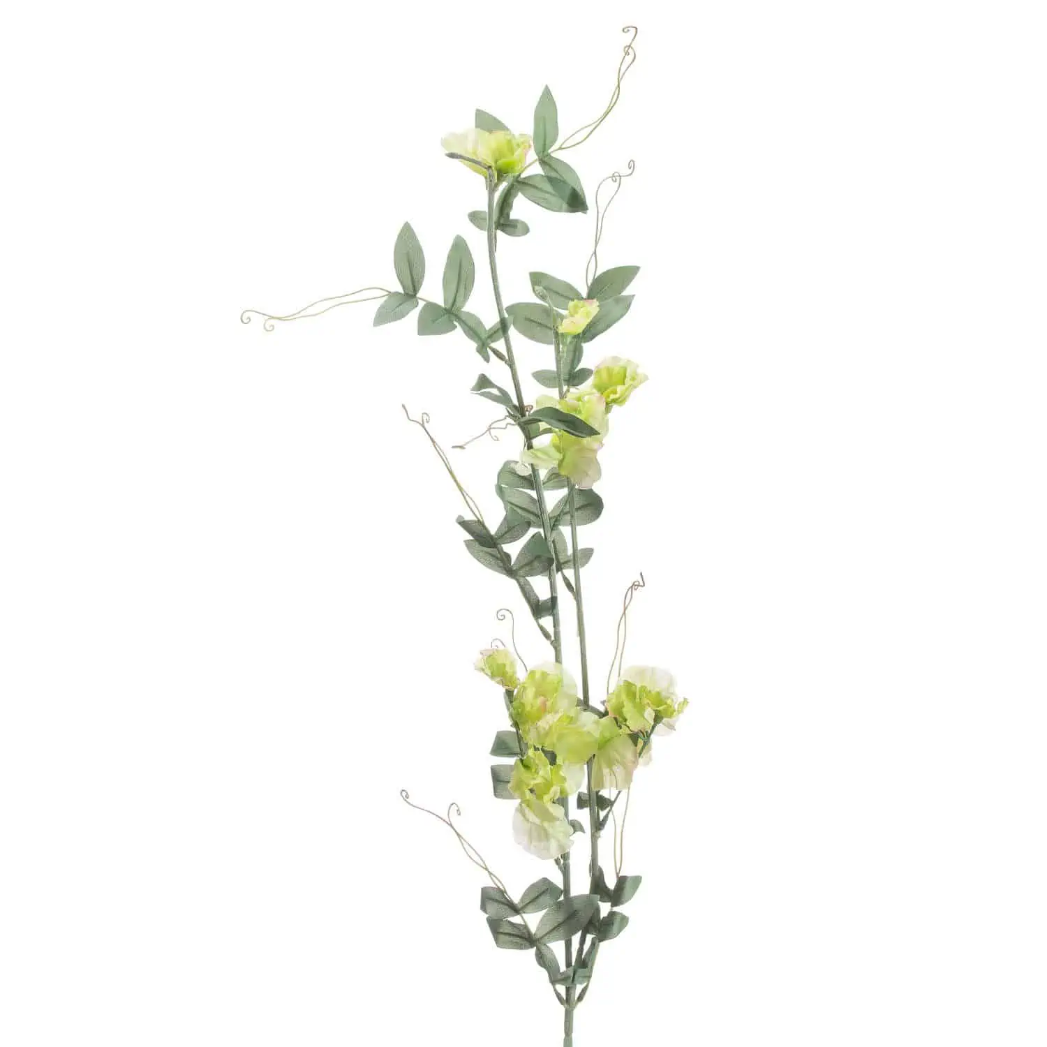 Wisteria Stem - Jaro Design Studio - 1 Wisteria Stem