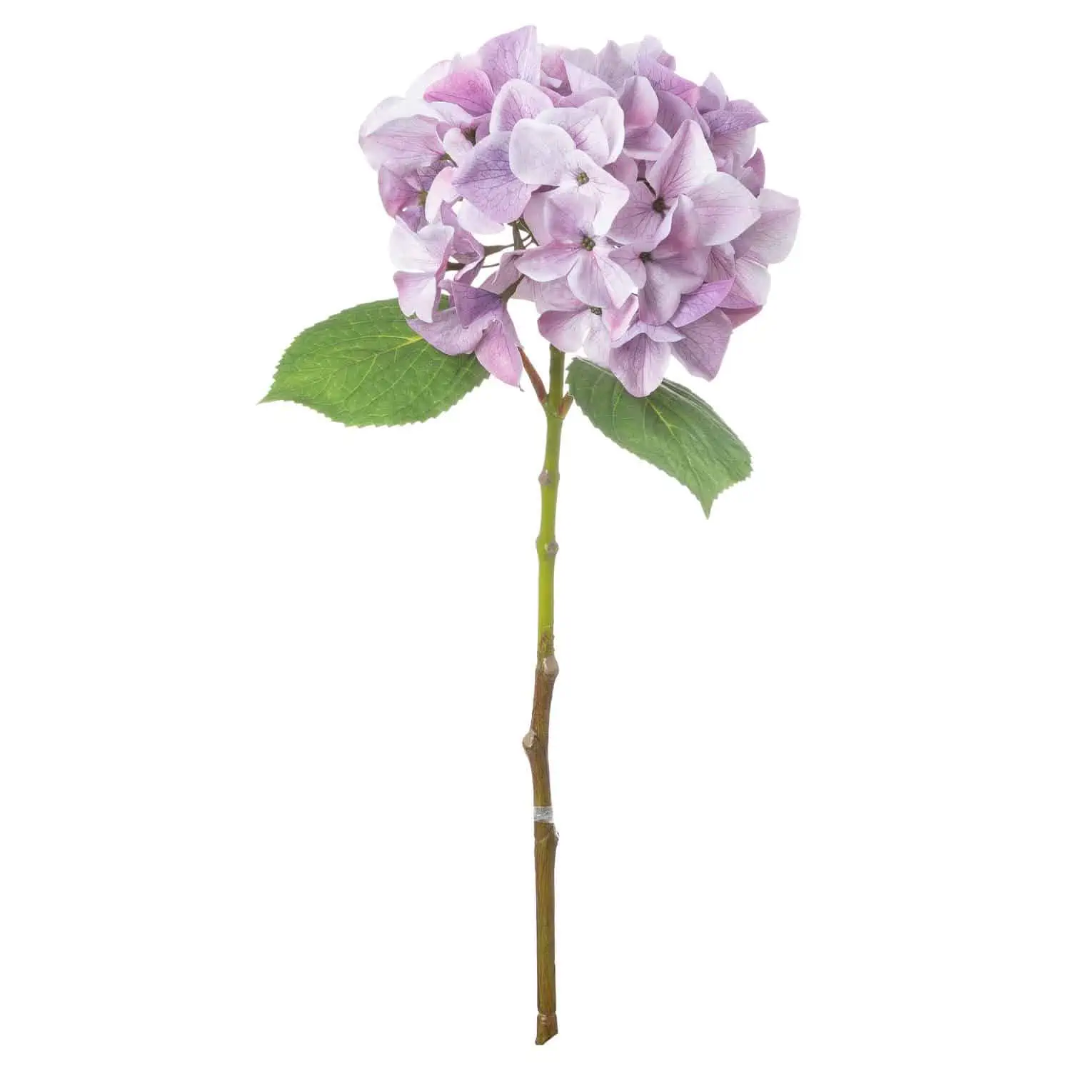 Shabby Purple Single Hydrangea - Jaro Design Studio - 1 Shabby Purple Single Hydrangea