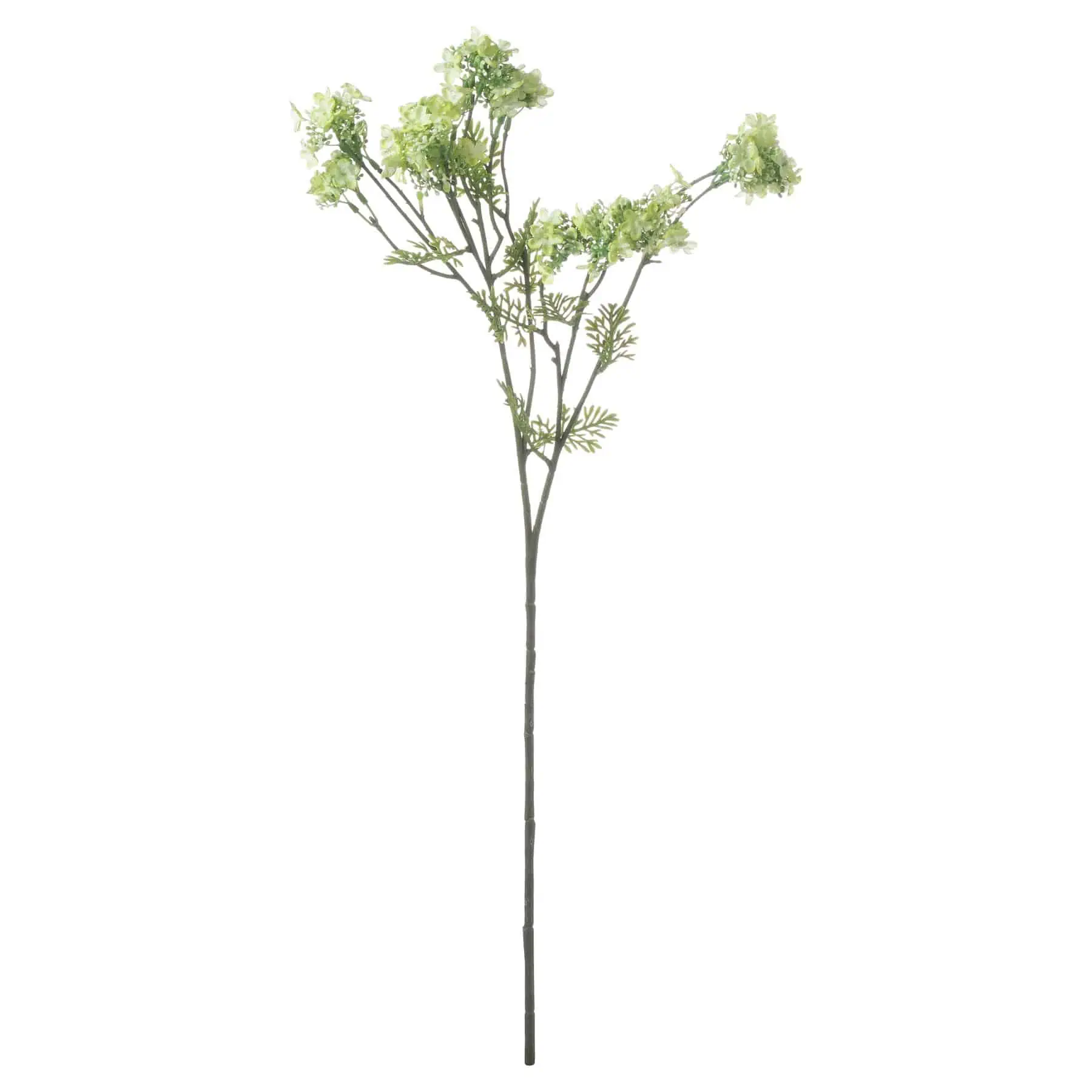 Green Plumb Blossom Spray - Jaro Design Studio - 1 Green Plumb Blossom Spray
