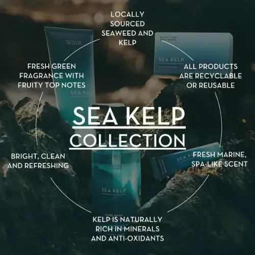 Scottish Fine Soaps Sea Kelp Hand and Nail Cream - 30ml - Image 4