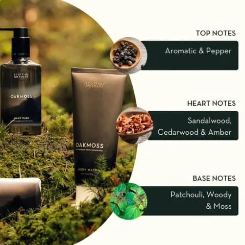 Scottish Fine Soaps Oakmoss Body Wash - Jaro Design Studio - 3 Scottish Fine Soaps Oakmoss Body Wash - Image 3