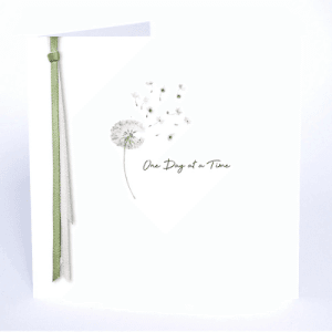 Five Dollar Shake Ribbons and Roses – One Day At A Time