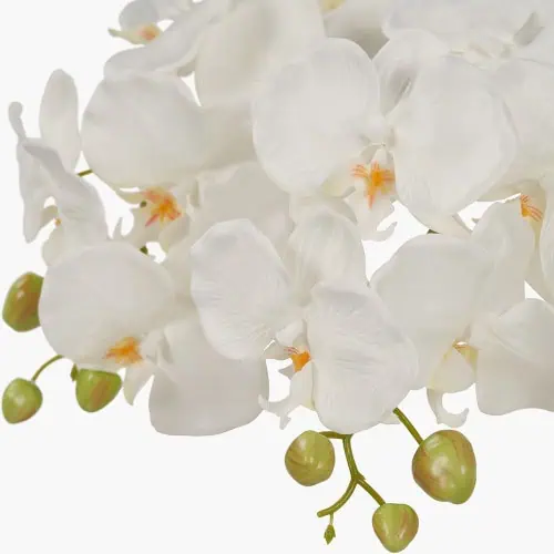 White Orchid in Moss Pot - Image 4