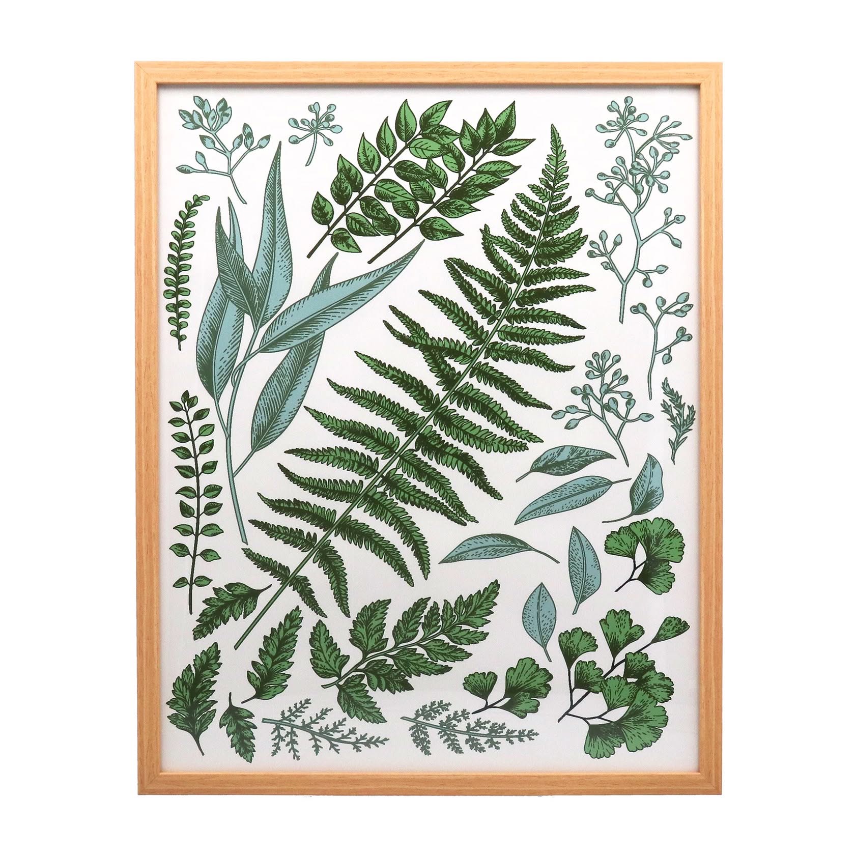 Gisela Graham Leaf Study Framed Print
