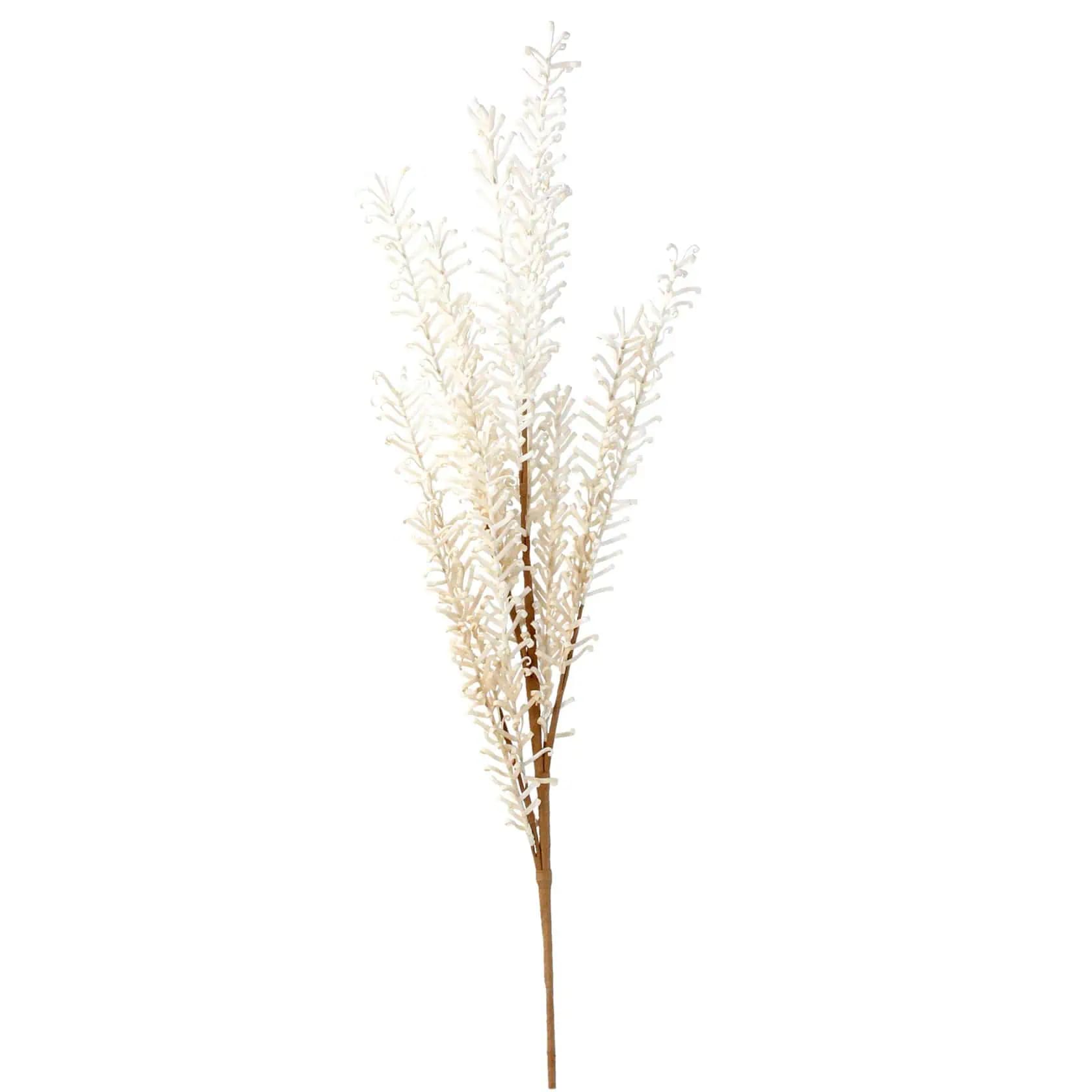 Gisela Graham, Natural Feathered Reed Spray