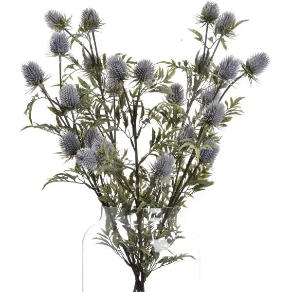 Eryngium Blue Thistle - Jaro - Jaro Design Studio - 1