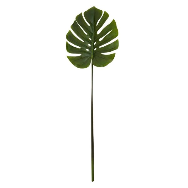 Green Stem Monstera Palm by Fiori - Jaro - Jaro Design Studio - 1