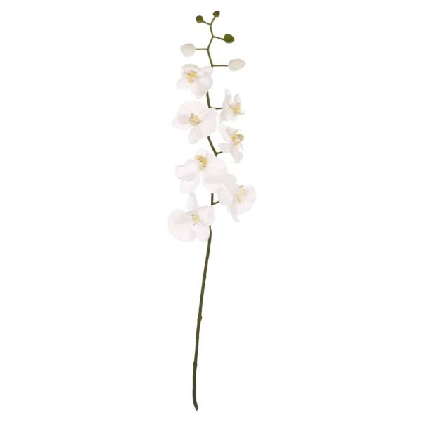 Cream Orchid Single Stem - Jaro - Jaro Design Studio - 1