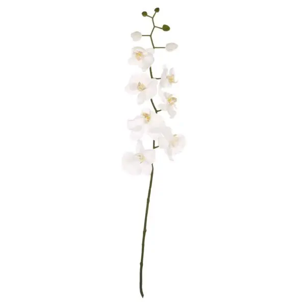 Cream Orchid Single Stem - Jaro Design Studio - 1