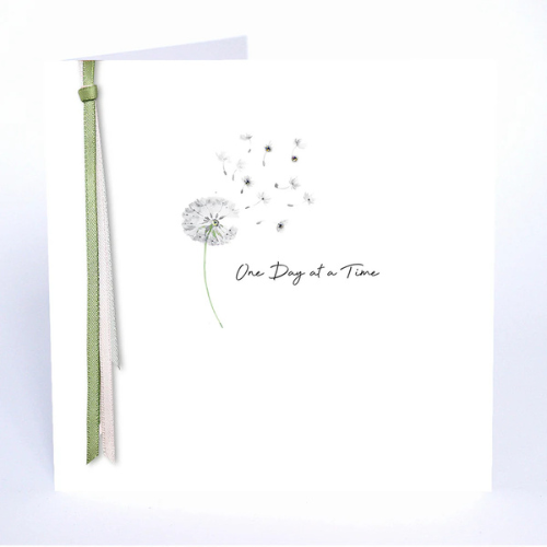 Five Dollar Shake Ribbons and Roses – One Day At A Time - Jaro Design Studio - 1 Five Dollar Shake Ribbons and Roses – One Day At A Time