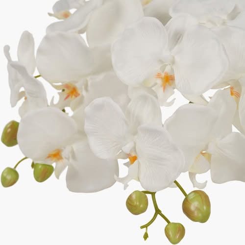 White Orchid in Moss Pot - Jaro Design Studio - 4 White Orchid in Moss Pot - Image 4