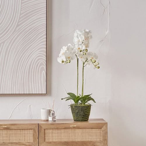 White Orchid in Moss Pot - Jaro Design Studio - 3 White Orchid in Moss Pot - Image 3