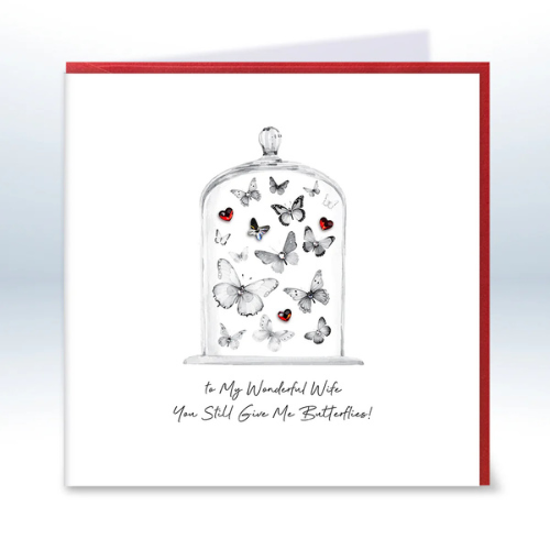 Five Dollar Shake Love and Co – Wonderful Wife. You Still Give Me Butterflies